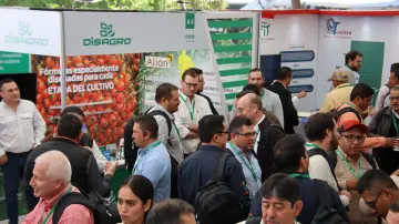 Participantes interactuando en el área de estands.