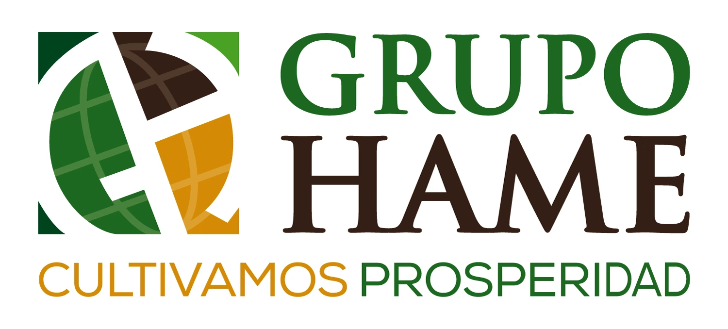 Grupo Hame
