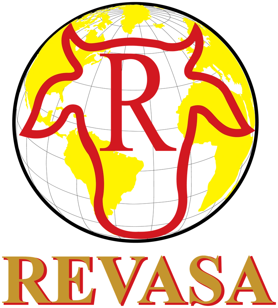 Revasa